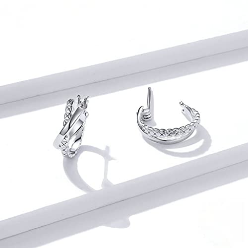PAHALA 925 Sterling Silver Stone Leather Texture With Crystals Stud Earrings