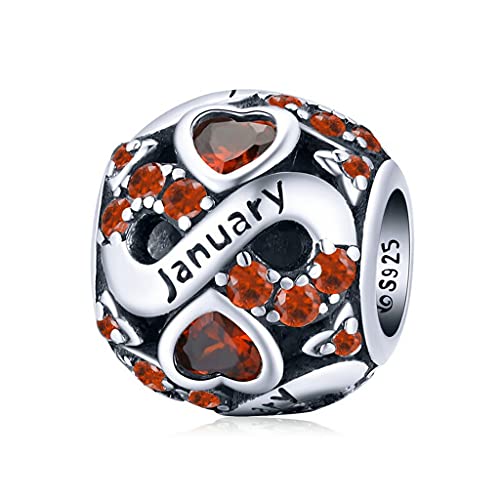 PAHALA 925 Sterling Silver Multiple Crystal Color Infinite Love Month Charm Bead (January)