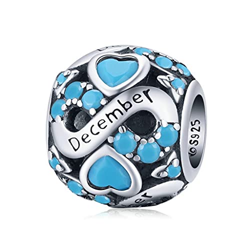PAHALA 925 Sterling Silver Multiple Crystal Color Infinite Love Month Charm Bead (December)