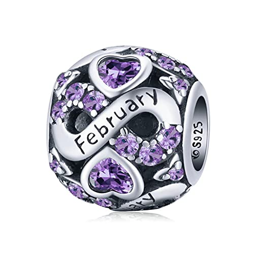 PAHALA 925 Sterling Silver Multiple Crystal Color Infinite Love Month Charm Bead (February)