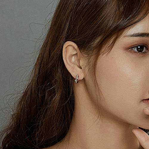 PAHALA 925 Sterling Silver Stone Leather Texture With Crystals Stud Earrings