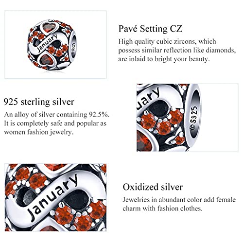 PAHALA 925 Sterling Silver Multiple Crystal Color Infinite Love Birthstone Charm Beads