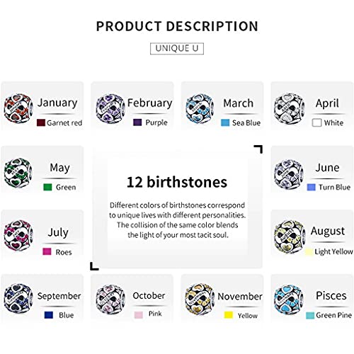 PAHALA 925 Sterling Silver Multiple Crystal Color Infinite Love Month Charm Bead (December)