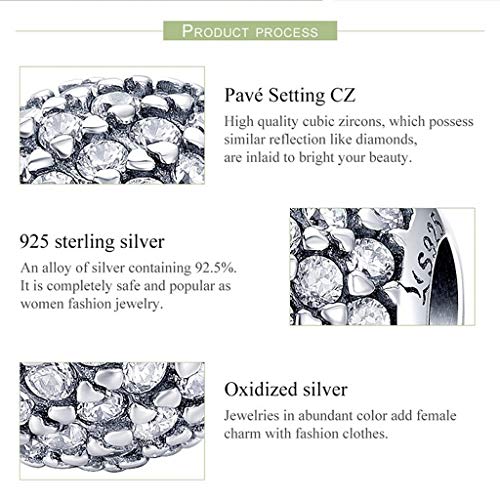 PAHALA 925 Strling Silver Dazzling Crystal Round Love Charms Charm