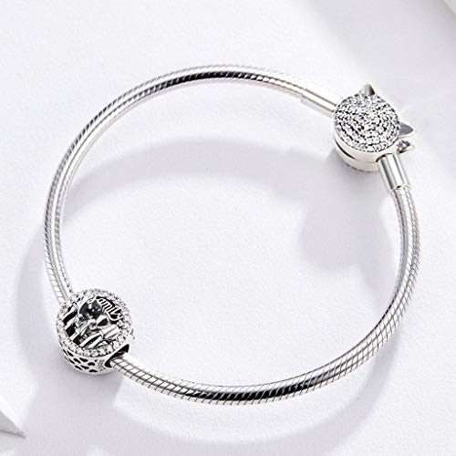 PAHALA 925 Strling Silver Lovely Warm Family Together Crystals Charm Bead