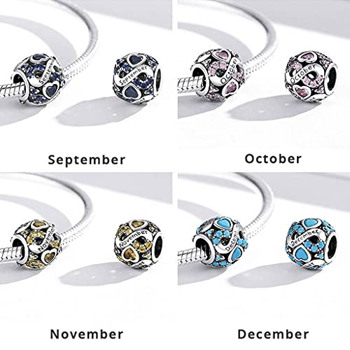 PAHALA 925 Sterling Silver Multiple Crystal Color Infinite Love Month Charm Bead (November)